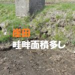 本地面積の申告の日その3・・・ほか２話