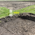 本地面積の申告の日その7・・・ほか２話