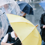 ライオンロックという台風・・・ほか２話