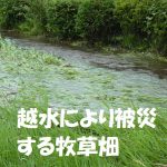 河川管理地が存在しません・・・ほか２話